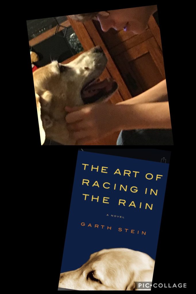 The Art of Racing in the Rain